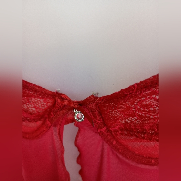 Elegant Red Lace Babydoll Lingerie (#1,382) - Picture 6 of 10